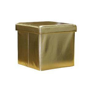 Seat storage box gold